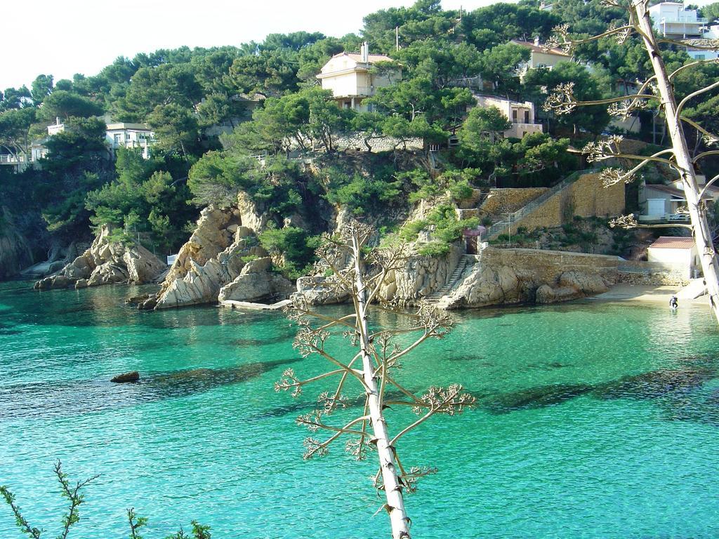La Palmeraie Des Calanques Hotel Ensues-la-Redonne Buitenkant foto